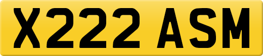 X222ASM